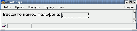 Тип поля ввода, атрибут TYPE